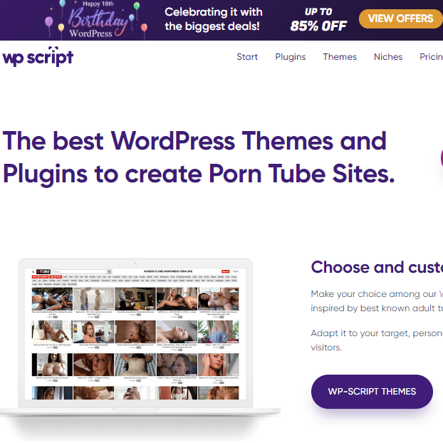 wp-script